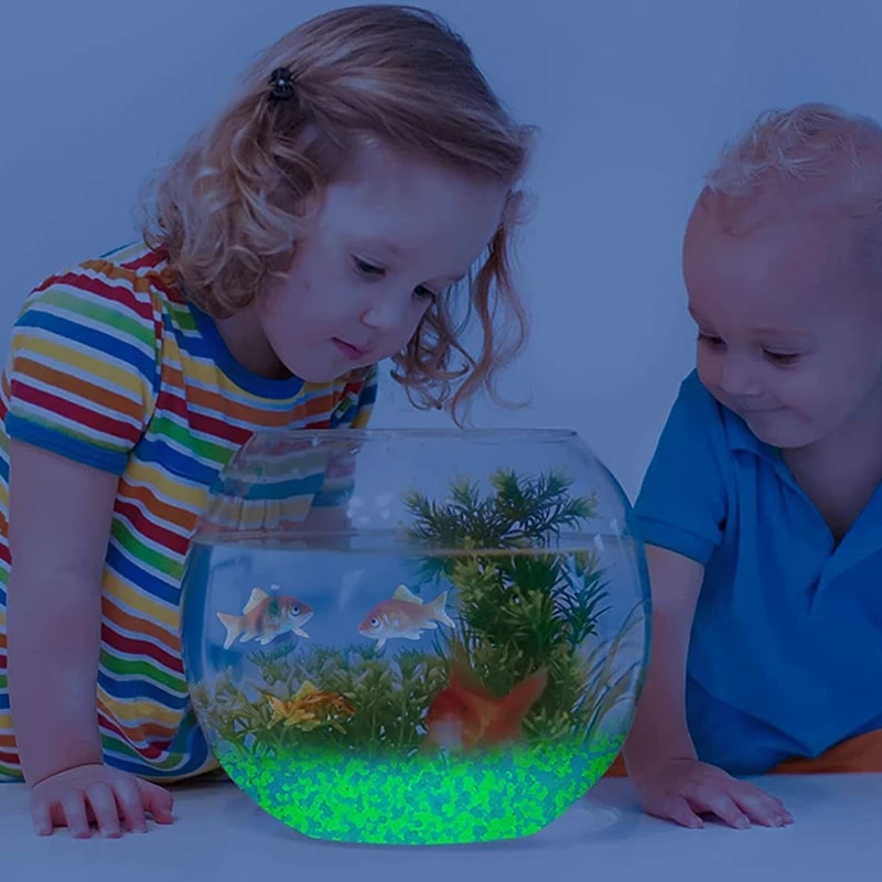 1000 個 3-5 ミリメートル発光砂ダーク小石石家庭菜園 - Aquarium Marine Stone のレビューと価格