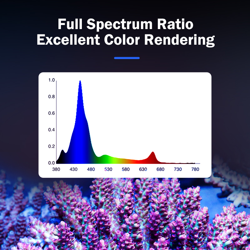 ホットKASSRAY T169/T215 CREEs LED - Marine Aquarium & Regional Centre Photos のレビューと価格