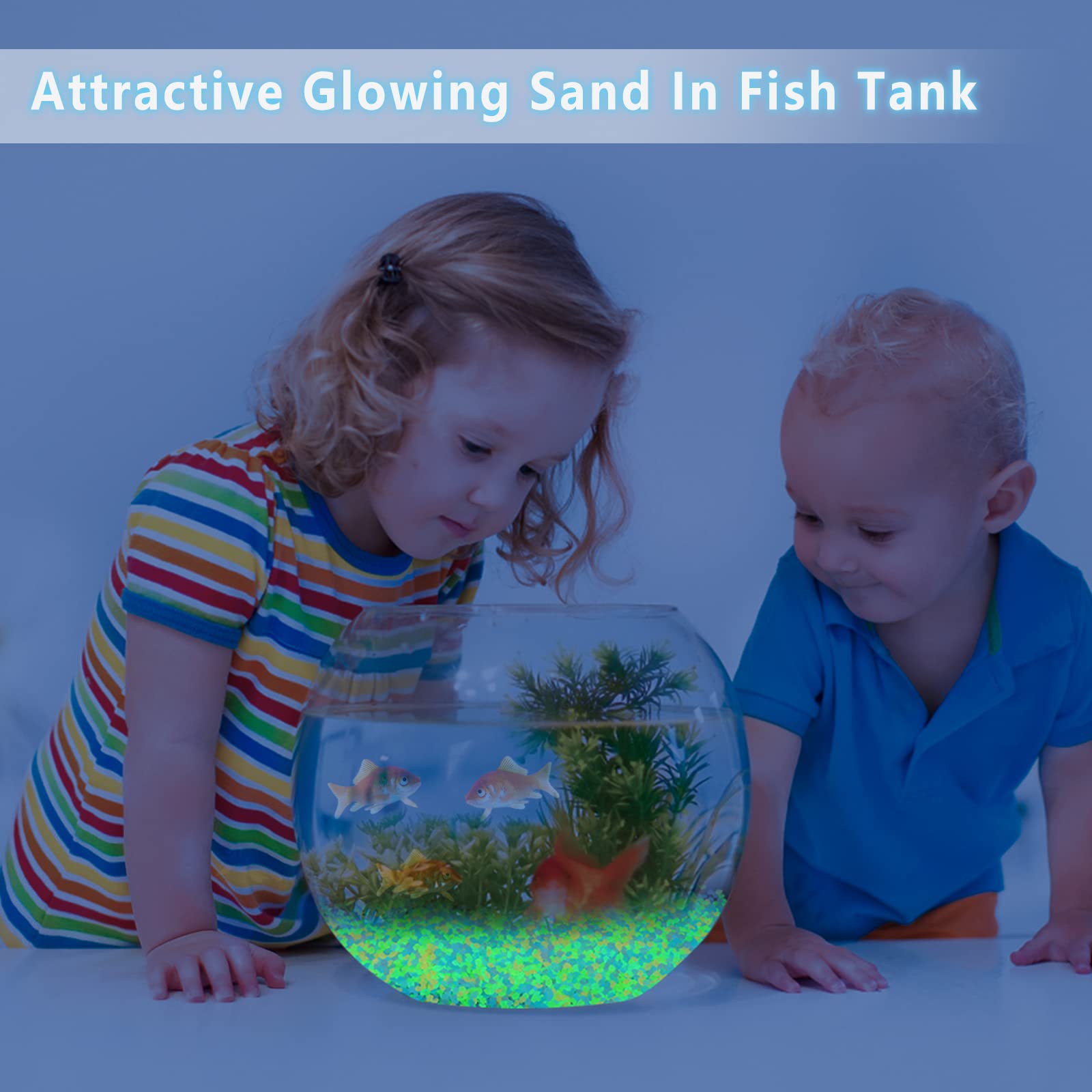 1000個の夜光砂、暗闇で光る小石、家の庭、屋外の小道、芝生 - Aquarium Marine Stone のレビューと価格