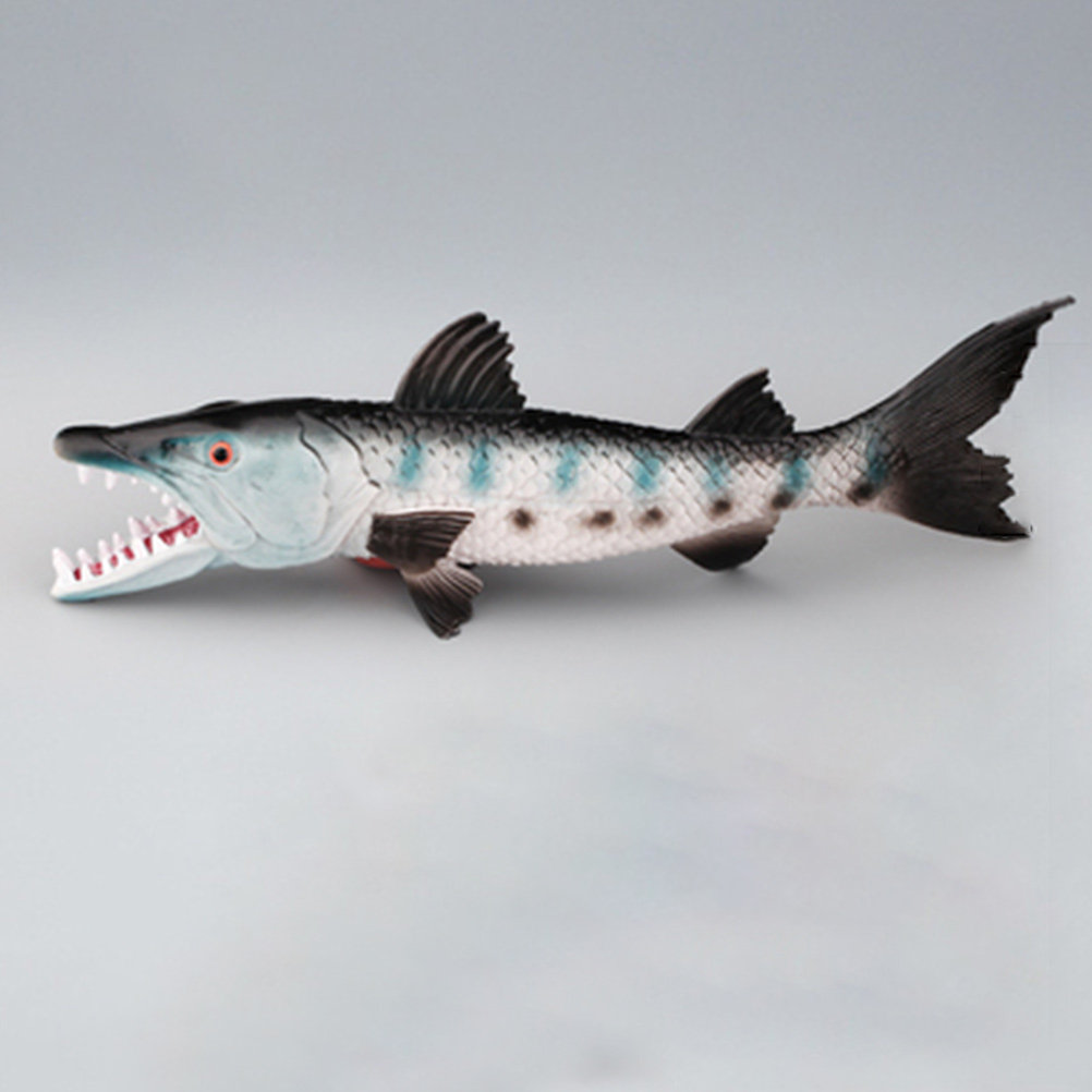 プレミアムリアルなオオカミ魚水槽装飾シミュレーション海洋動物 - Marine Aquarium & Regional Centre Photos のレビューと価格