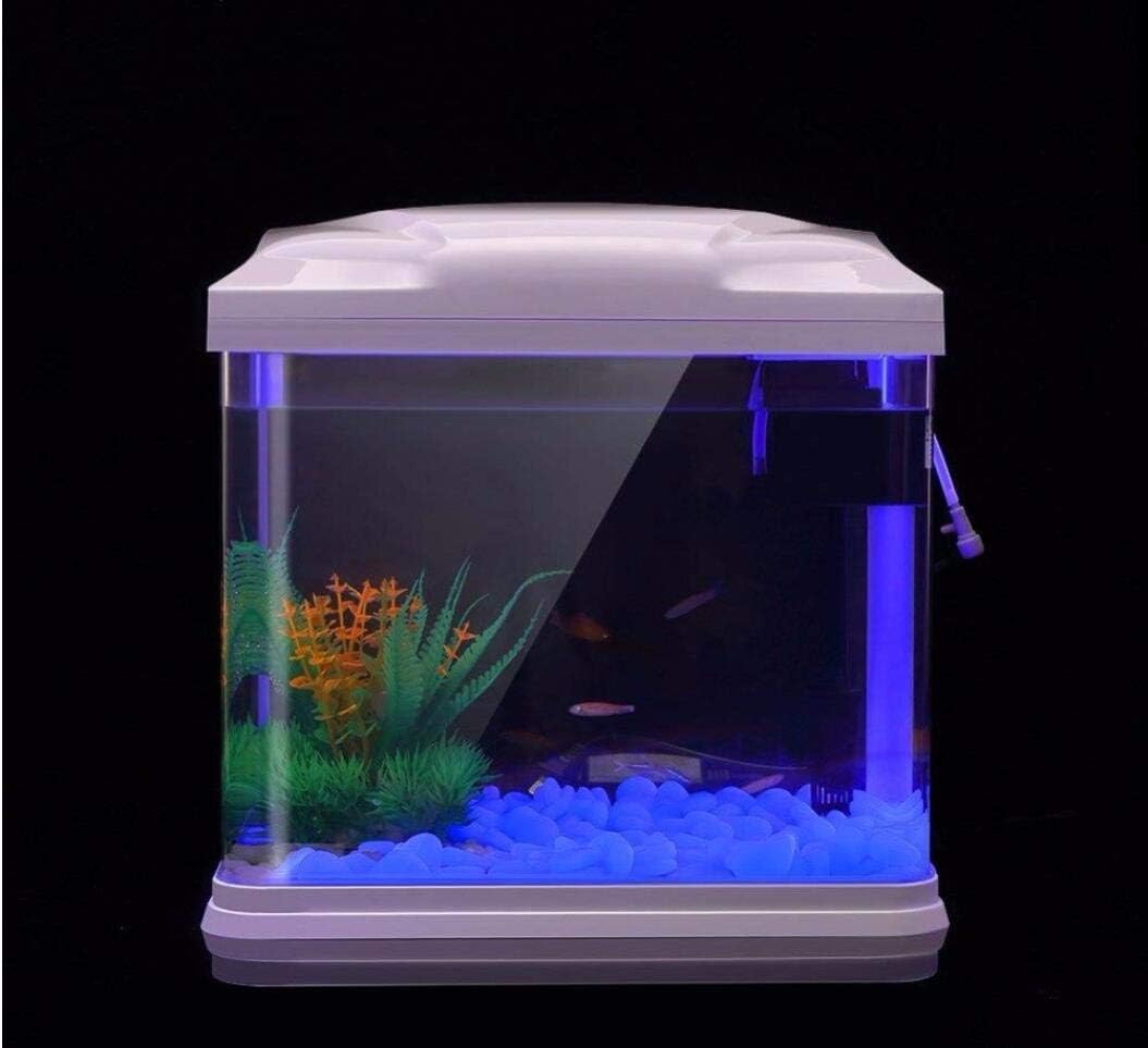 水槽岩グローブルー小石庭用水槽水族館植木鉢盆栽歩道私道 - Aquarium Marine Stone のレビューと価格