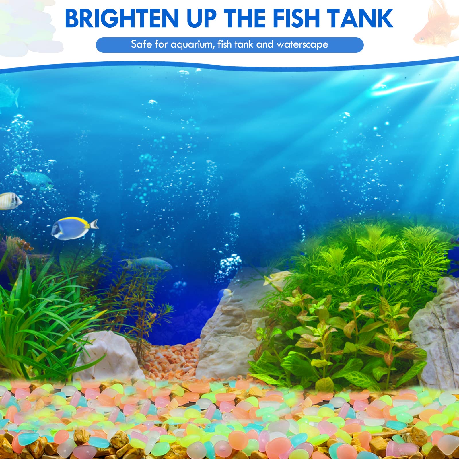 100 個暗闇で光る庭の小石歩道ガーデンテラス芝生庭パティオ - Aquarium Marine Stone のレビューと価格