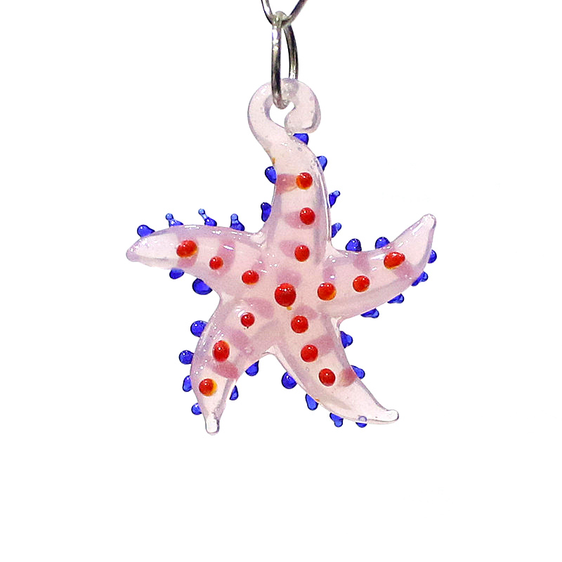 かわいい海洋動物海星魅力マイクロガラス海星ペンダント装飾品d - Marine Aquarium & Regional Centre Photos のレビューと価格